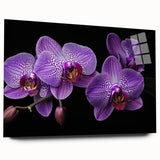 Botanical orchid wall art design displayed in a sleek acrylic frame, showcasing vibrant colors and intricate floral details, perfect for modern home decor accents.