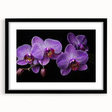 Framed botanical wall art featuring a vibrant orchid design with a black mat, showcasing intricate floral details and elegant styling for home decor.