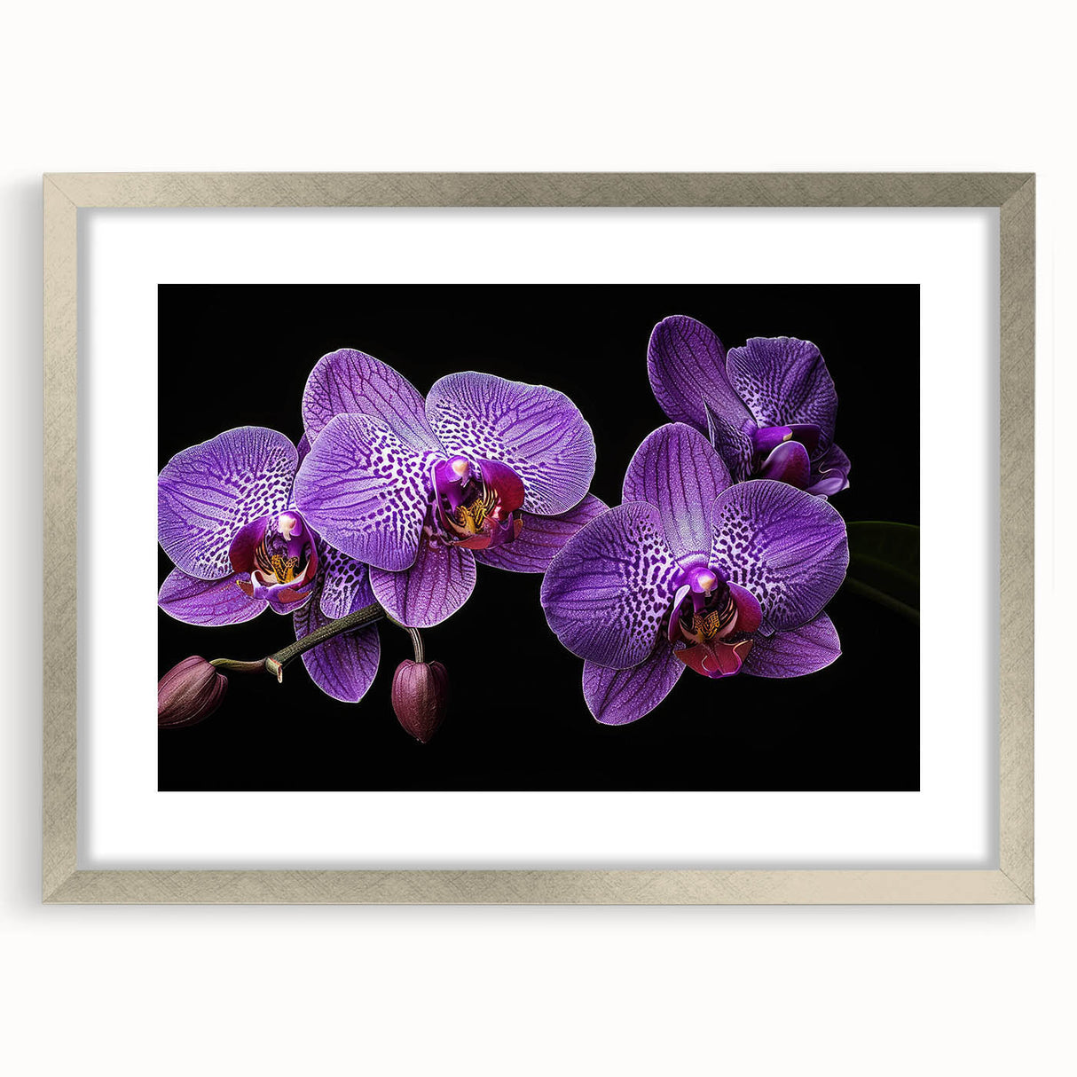 Elegant silver-framed wall art showcasing a botanical orchid design, featuring intricate floral details and a soft mat, perfect for enhancing modern decor.