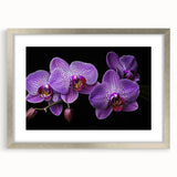 Elegant silver-framed wall art showcasing a botanical orchid design, featuring intricate floral details and a soft mat, perfect for enhancing modern decor.