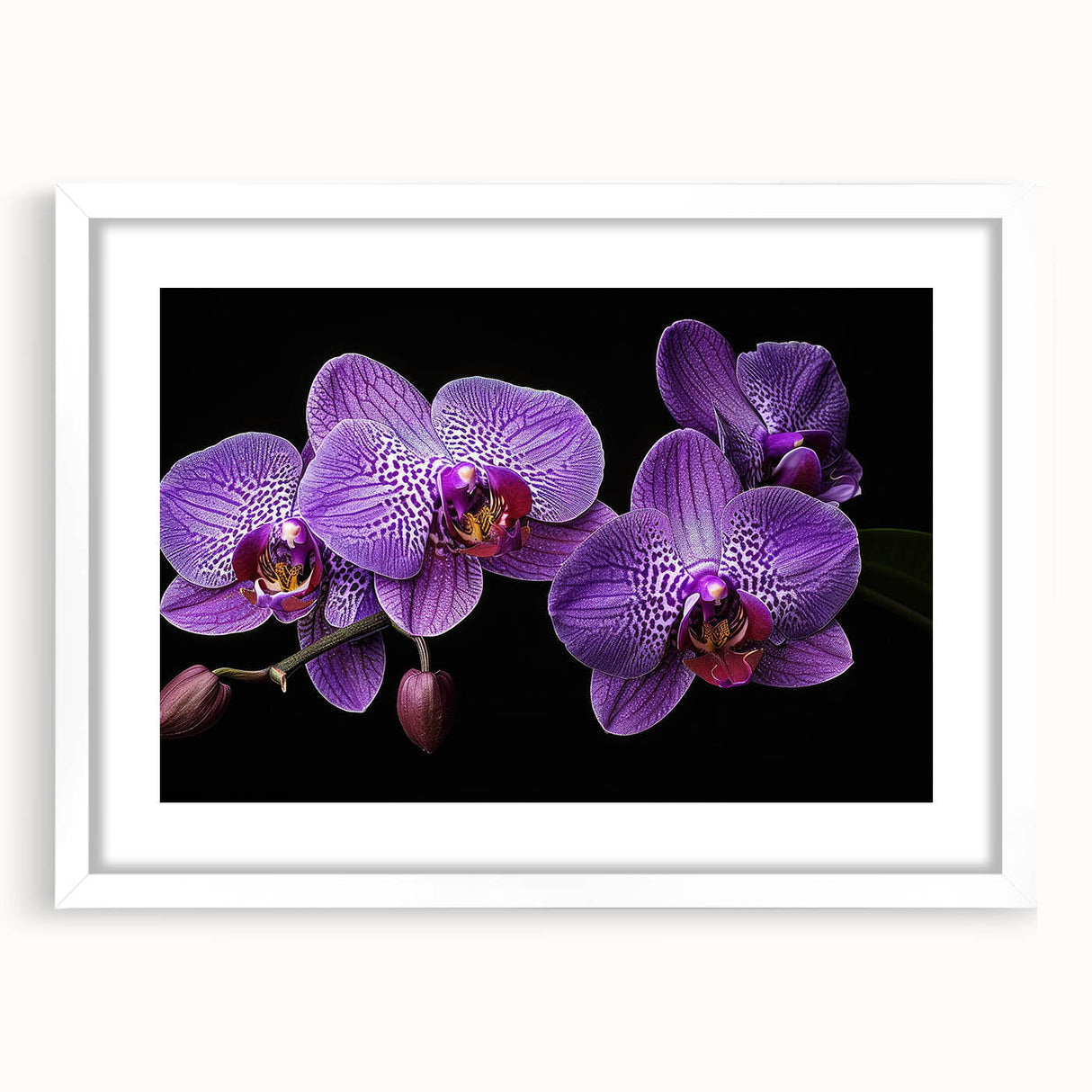 Botanical wall art featuring a stunning orchid design in a white frame with a mat, perfect for adding elegance to home decor or office spaces. The artwork showcases vibrant colors and intricate details, enhancing any interior aesthetic.