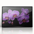 Framed wall art featuring a botanical orchid design in vibrant colors, set against a sleek black background, ideal for modern home decor and floral enthusiasts.