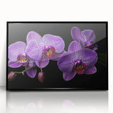 Framed wall art featuring a botanical orchid design in vibrant colors, set against a sleek black background, ideal for modern home decor and floral enthusiasts.