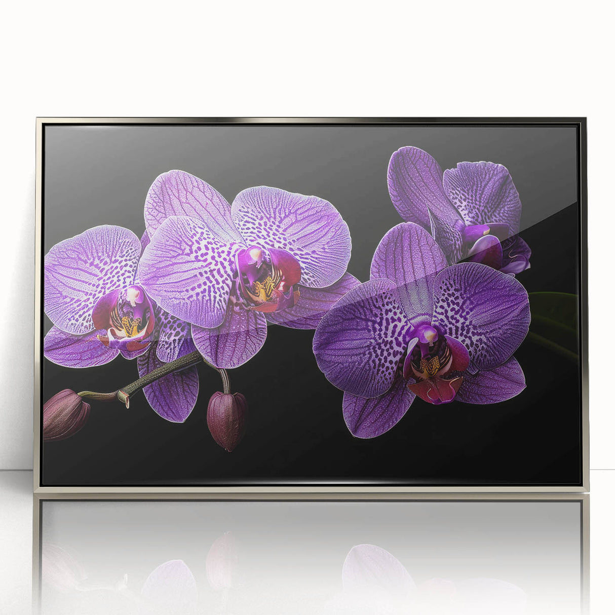 Framed wall art featuring a botanical orchid design in vibrant colors, set in a sleek silver frame, perfect for enhancing modern decor styles.