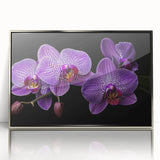 Framed wall art featuring a botanical orchid design in vibrant colors, set in a sleek silver frame, perfect for enhancing modern decor styles.
