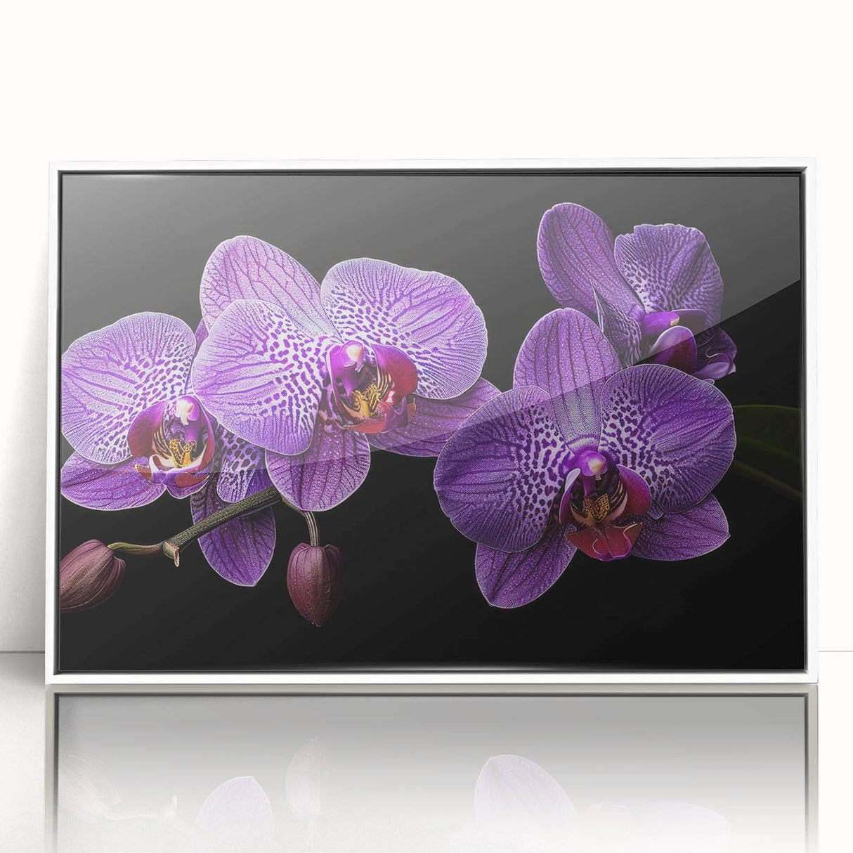Framed wall art featuring a botanical orchid design in vibrant colors, showcasing intricate floral details, set against a white backdrop for elegant decor.