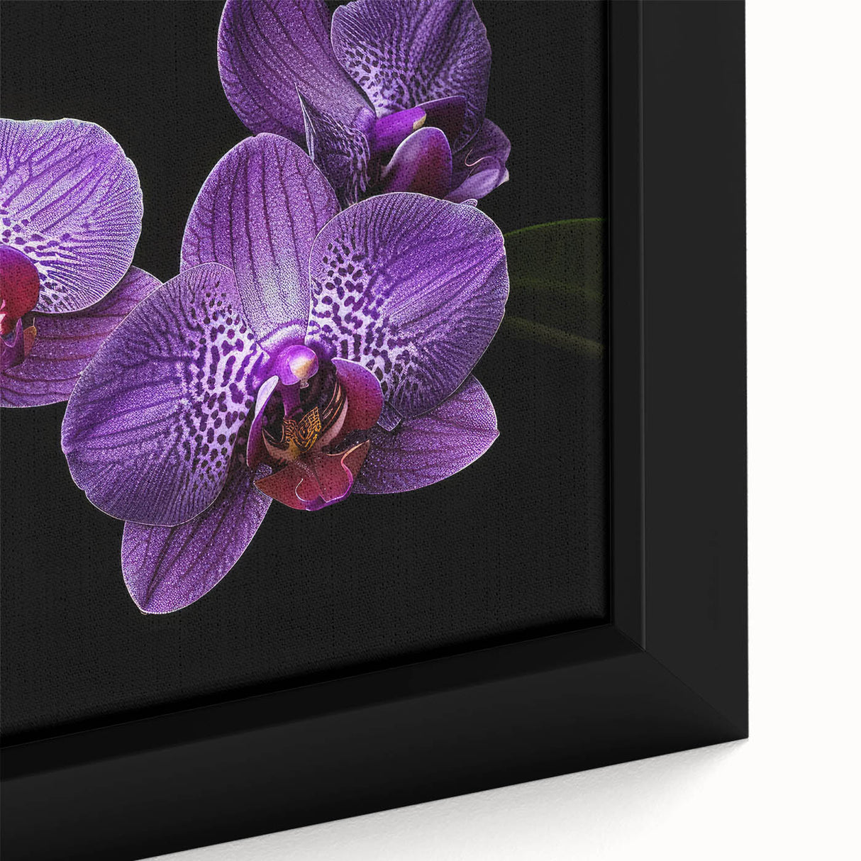 Close-up view of a framed botanical orchid wall art piece, showcasing vibrant purple and white orchid flowers against a soft pastel background, perfect for home decor.