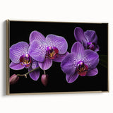 Framed botanical wall art showcasing a stunning orchid design in vibrant colors, featuring a sleek gold frame that enhances its elegance, perfect for home decor.