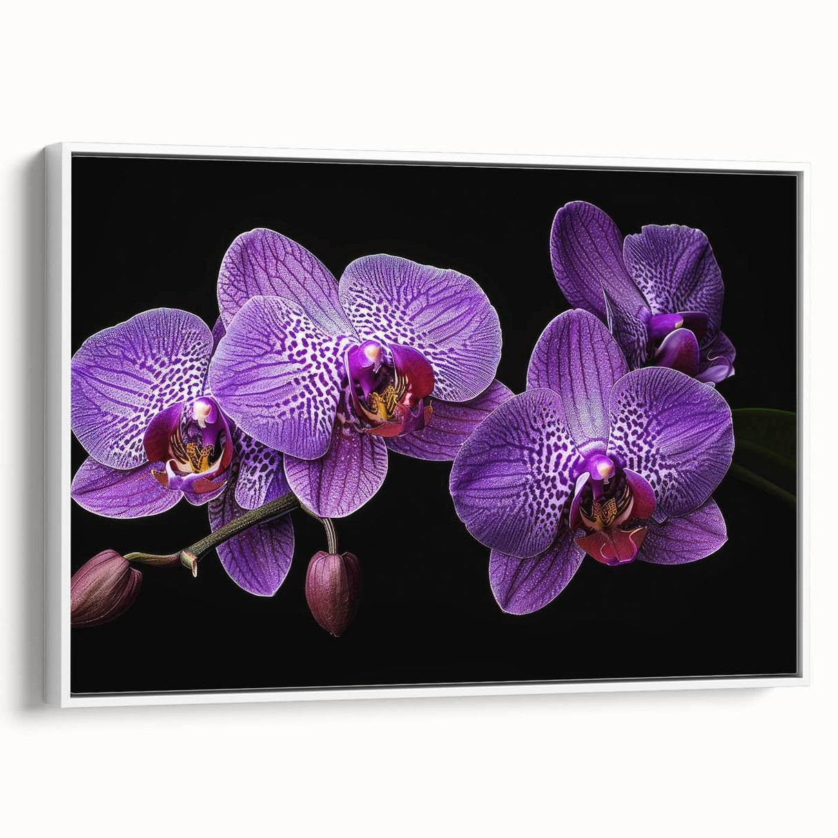 Framed wall art showcasing a botanical orchid design on canvas, featuring vibrant colors and detailed floral illustrations, ideal for home decor accents.