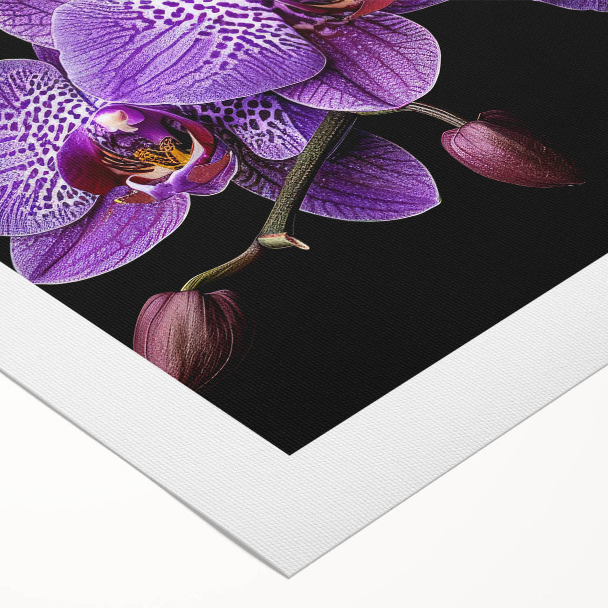 Botanical wall art showcasing an elegant orchid design on rolled canvas, featuring vibrant colors and intricate details, perfect for home decor enhancement.