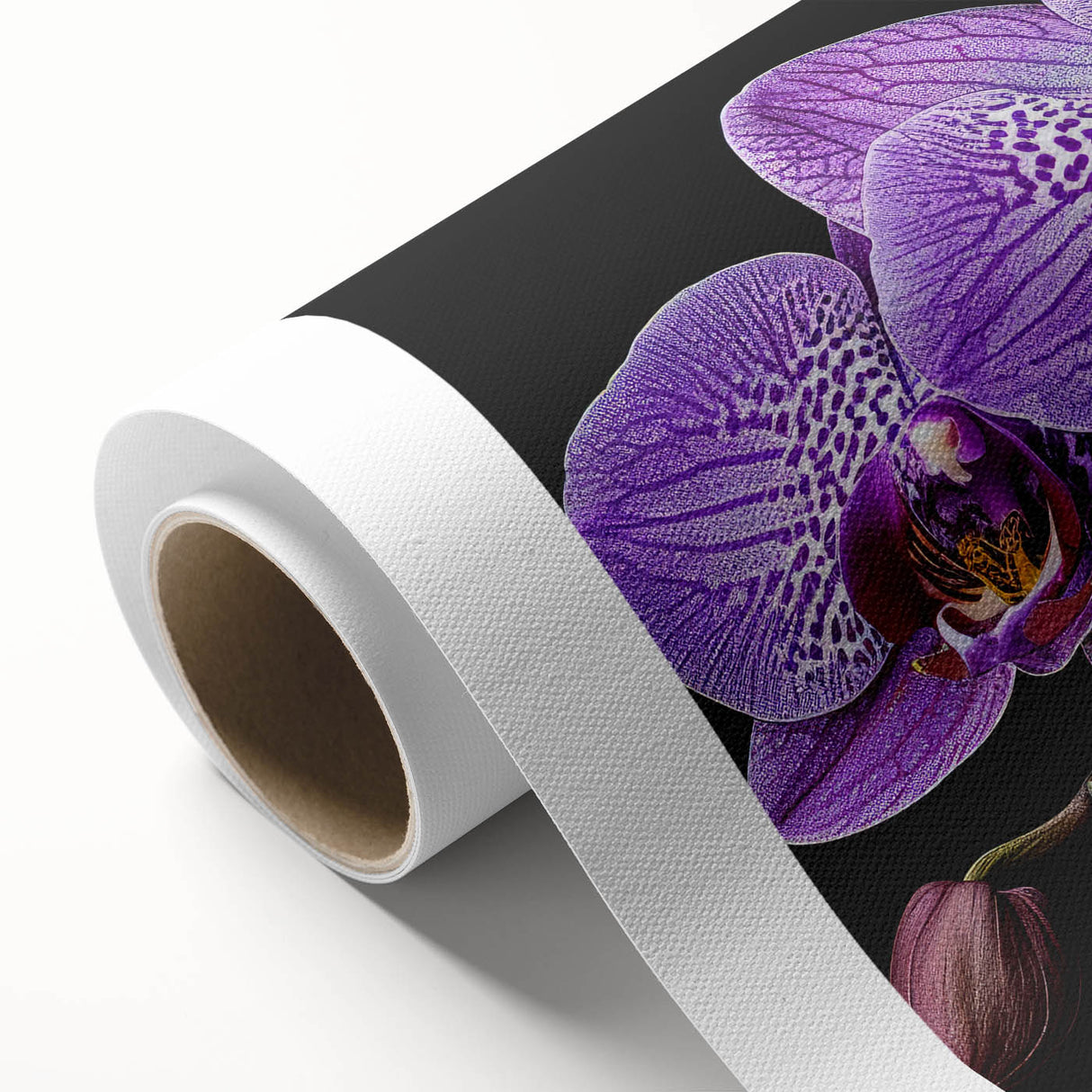 Vibrant botanical orchid wall art design on rolled canvas, showcasing intricate floral details and rich colors, ideal for home decor and gallery displays.