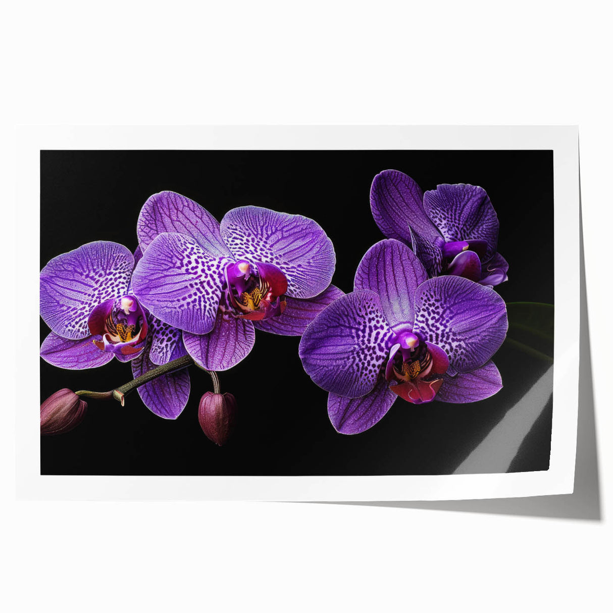 Botanical wall art print showcasing a vibrant orchid design with intricate details and soft pastel colors, ideal for home decor or nature-themed spaces.