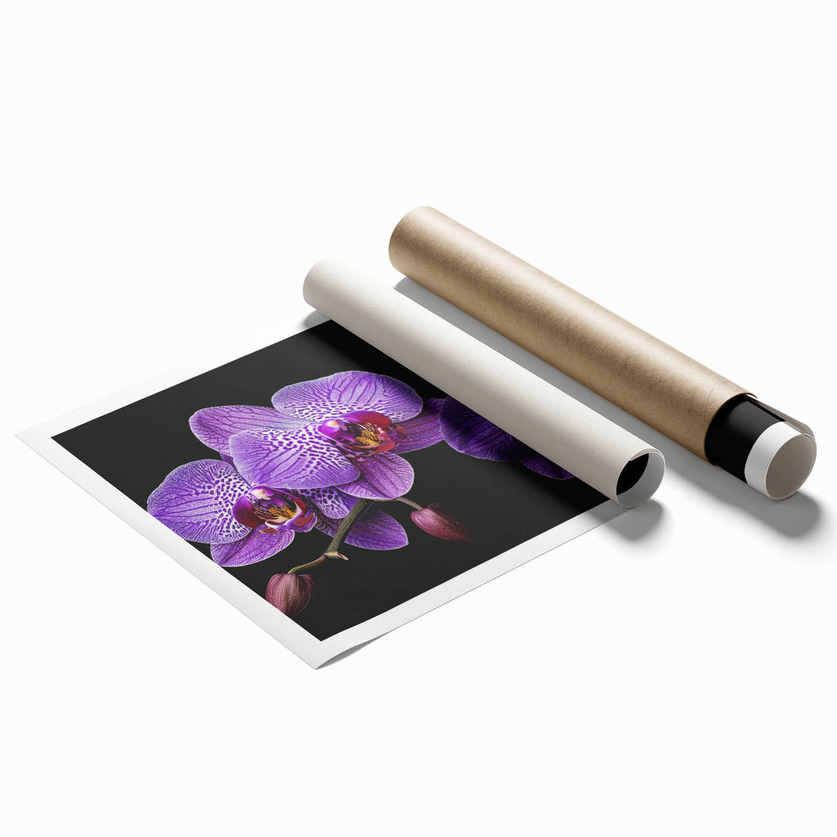 Botanical orchid wall art print showcasing vibrant colors and intricate floral details, rolled for easy framing and display, perfect for home decor enthusiasts.