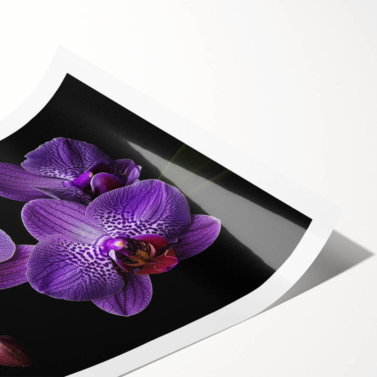 Botanical orchid wall art print showcasing vibrant purple and green hues, elegantly rolled for easy display and shipping, perfect for home decor enthusiasts.