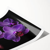 Botanical orchid wall art print showcasing vibrant purple and green hues, elegantly rolled for easy display and shipping, perfect for home decor enthusiasts.