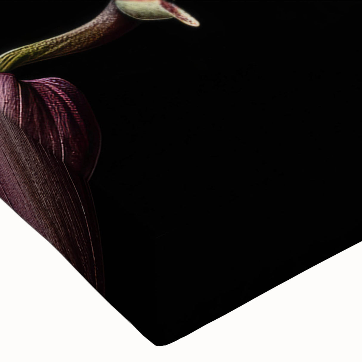 Close-up of a vibrant botanical orchid wall art design on stretched canvas, showcasing intricate floral details and rich colors, perfect for home decor.