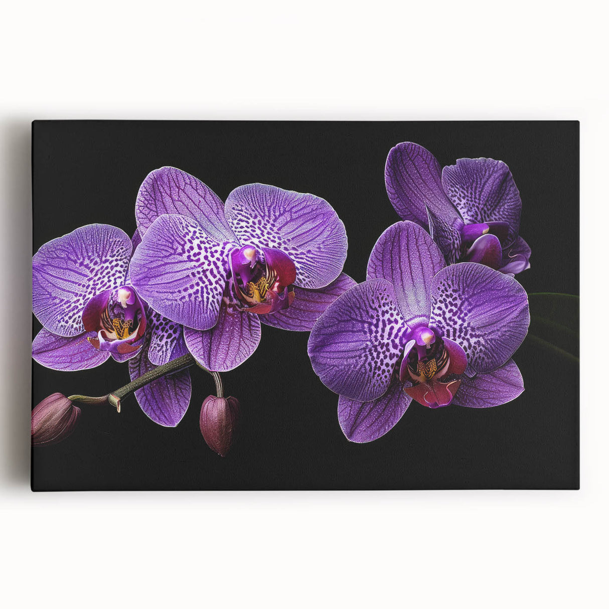 Vibrant botanical wall art featuring a stunning orchid design on stretched canvas, showcasing intricate floral details and rich colors, ideal for enhancing interior decor.