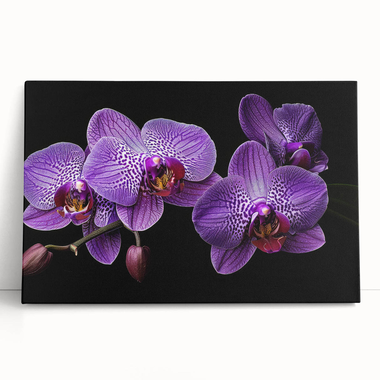 Botanical orchid design wall art collection on stretched canvas, showcasing vibrant floral colors and elegant details, perfect for home decor enhancement.