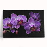 Botanical orchid design wall art collection on stretched canvas, showcasing vibrant floral colors and elegant details, perfect for home decor enhancement.