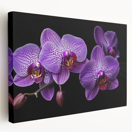 Stretched canvas wall art featuring a vibrant botanical orchid design, showcasing intricate floral details and rich colors, perfect for adding elegance to any space.