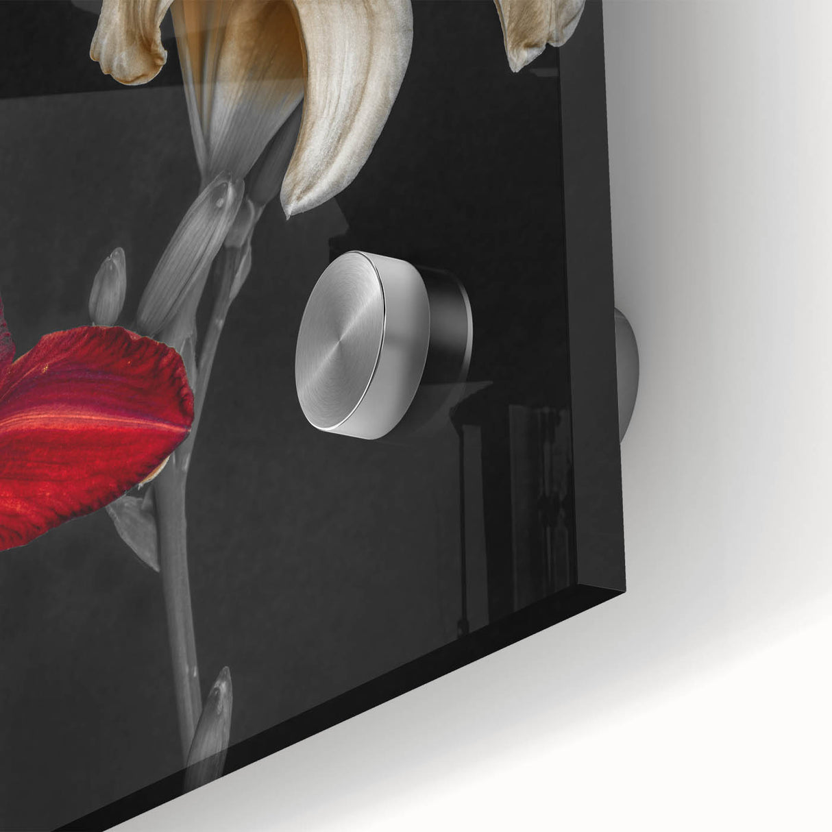Close-up of a vibrant botanical orchid wall art design, showcasing intricate floral details and rich colors, printed on high-quality acrylic glass for a modern decor accent.