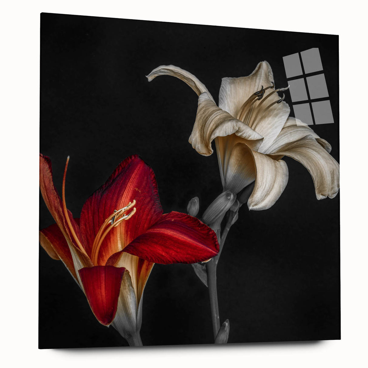 Elegant botanical wall art featuring a vibrant orchid design displayed in acrylic glass, showcasing its vivid colors and intricate details, perfect for home decor.