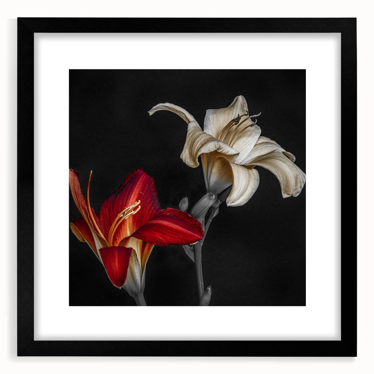 Botanical wall art featuring a striking orchid design in a black frame, complete with a mat, perfect for enhancing home decor with a touch of nature elegance.