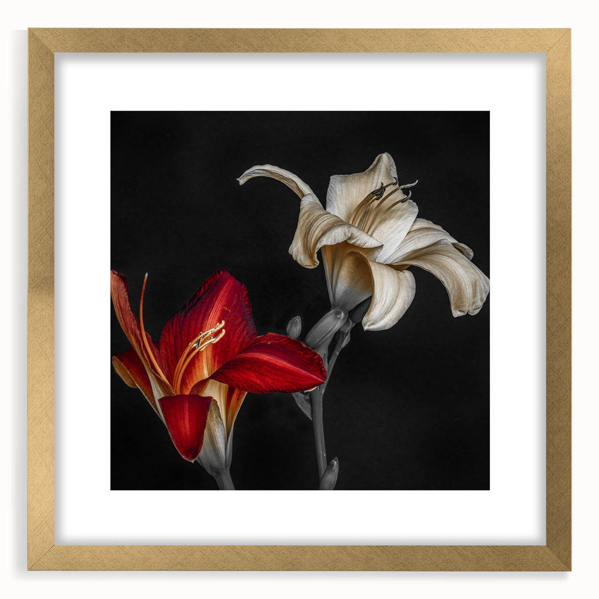Botanical wall art featuring a vibrant orchid design, framed in gold with a mat, showcasing intricate floral details, perfect for home decor in modern settings.