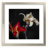 Botanical orchid wall art collection framed with a silver mat, showcasing vibrant floral designs and intricate details, perfect for home decor.