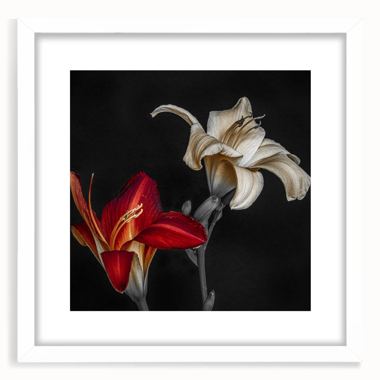 Botanical orchid design wall art framed in white with a mat, showcasing vibrant floral patterns ideal for home decor, enhancing living spaces and aesthetics.