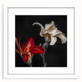Botanical orchid design wall art framed in white with a mat, showcasing vibrant floral patterns ideal for home decor, enhancing living spaces and aesthetics.