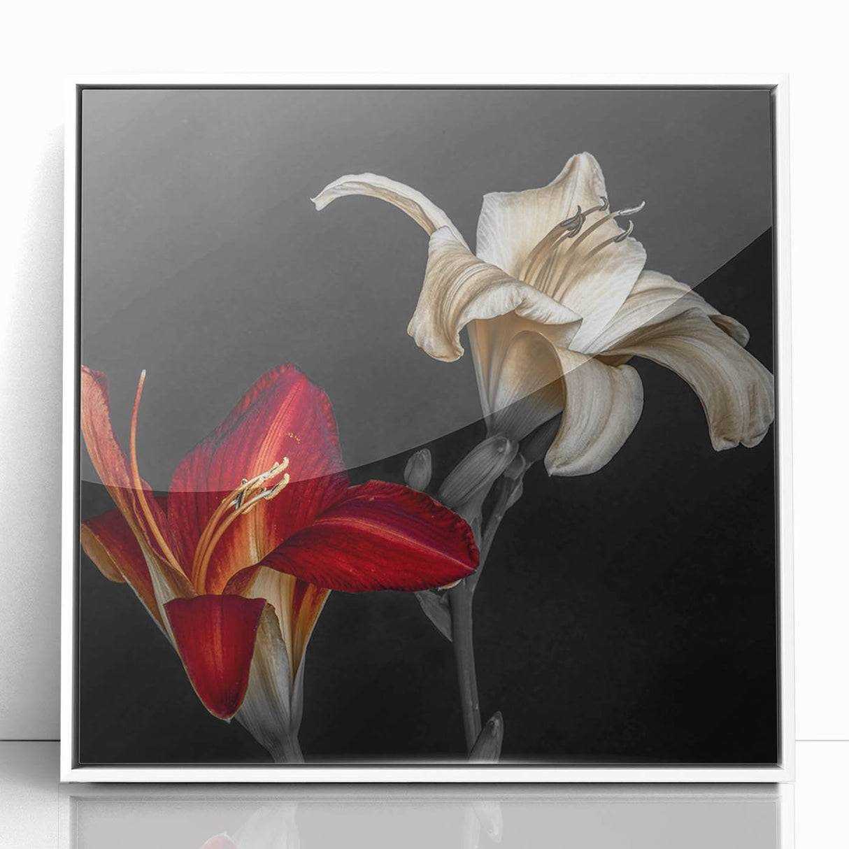Framed botanical wall art featuring a stunning orchid design in white acrylic, showcasing vibrant colors and intricate details, perfect for home decor.