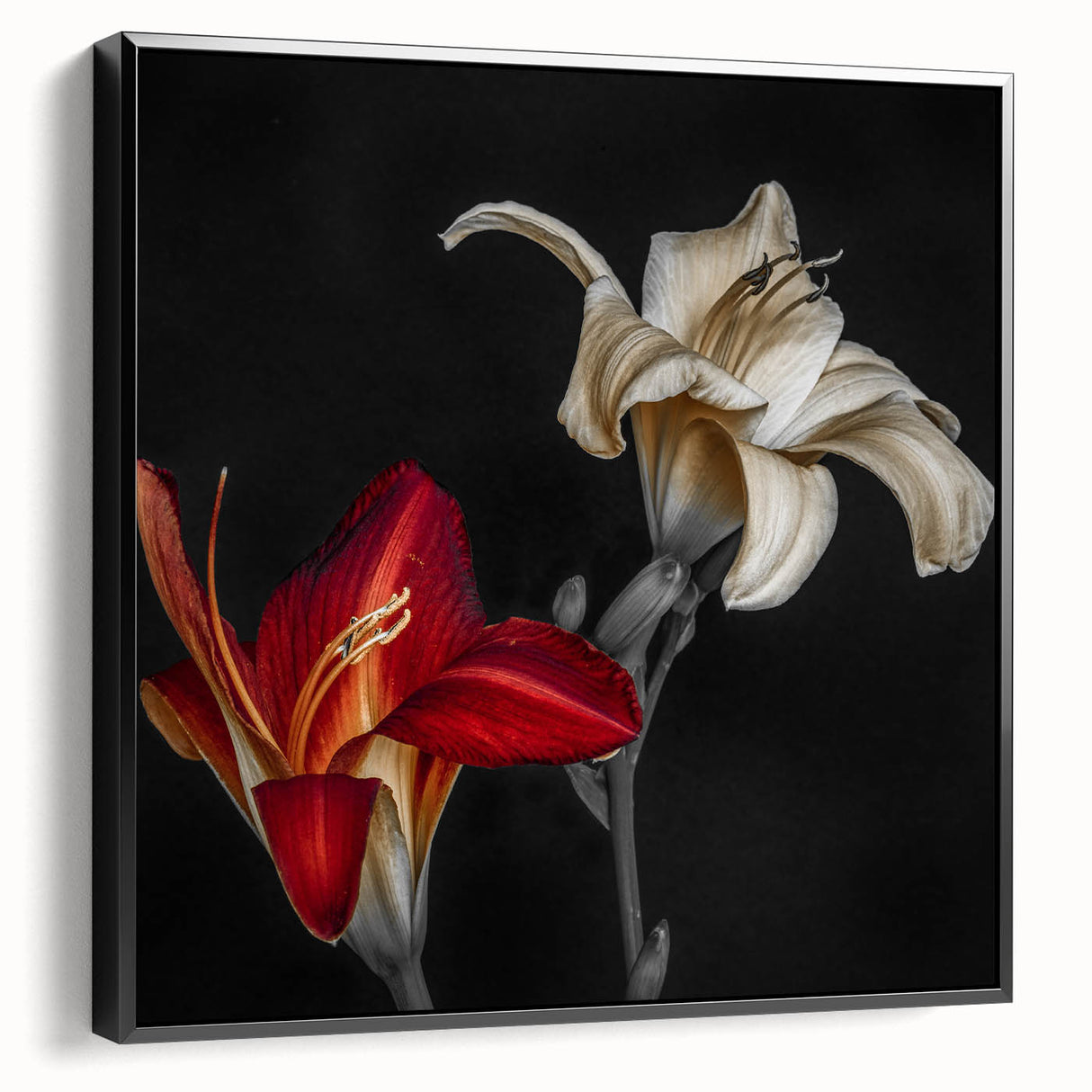 Framed botanical wall art featuring an elegant orchid design, displayed from the side with a sleek black frame, perfect for modern home decor.