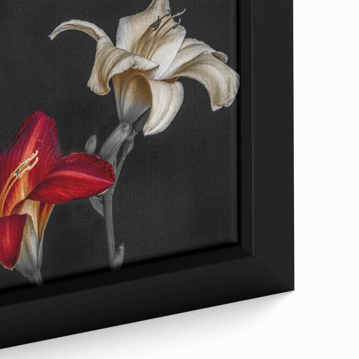 Close-up of a beautifully framed botanical orchid wall art design, showcasing vibrant colors and intricate floral details, perfect for home decor enhancement.