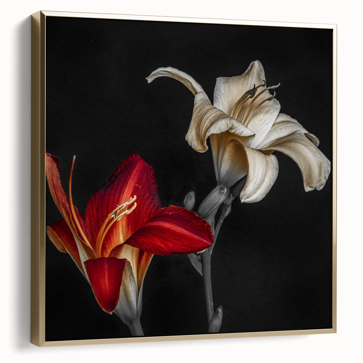 Framed wall art featuring a botanical orchid design with silver and gold accents, elegantly displayed against a soft background, perfect for home decor.