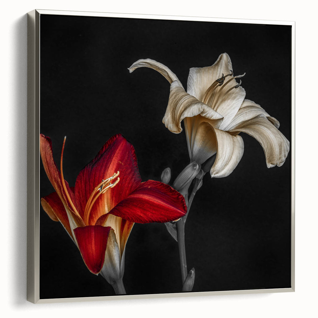 Framed canvas wall art featuring a botanical orchid design with vibrant colors and elegant silver frame, ideal for modern home decor accents.