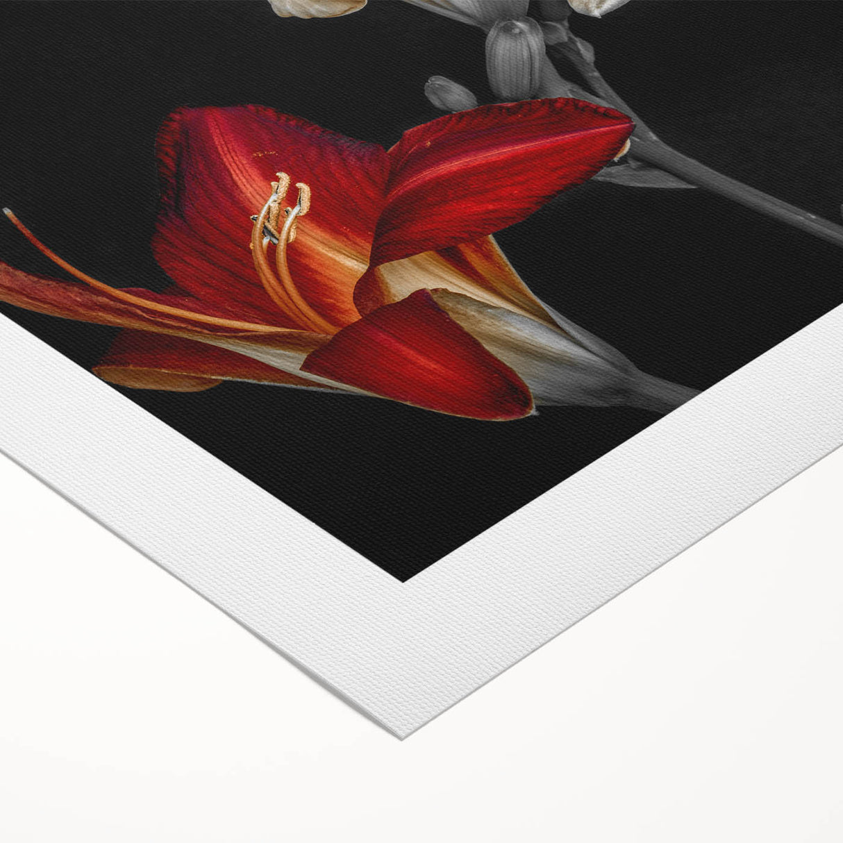 Vibrant botanical orchid wall art design on rolled canvas, showcasing intricate floral details in rich colors, perfect for home decor and nature enthusiasts.