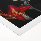 Vibrant botanical orchid wall art design on rolled canvas, showcasing intricate floral details in rich colors, perfect for home decor and nature enthusiasts.