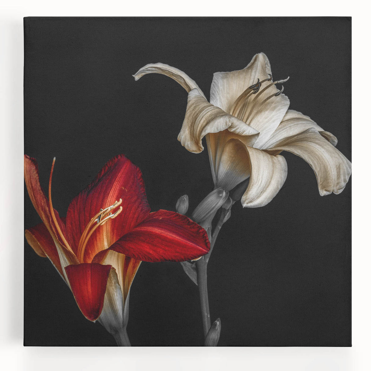 Vibrant botanical orchid design stretched canvas wall art showcasing rich colors and intricate floral details, perfect for home decor enthusiasts seeking nature-inspired aesthetics.