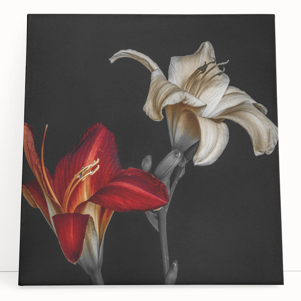 Botanical orchid wall art design on stretched canvas, showcasing vibrant purple and green hues, ideal for modern home decor, leaning against a neutral background.