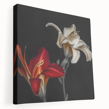 Stretched canvas wall art showcasing a vibrant botanical orchid design, featuring rich colors and intricate details, perfect for home decoration.
