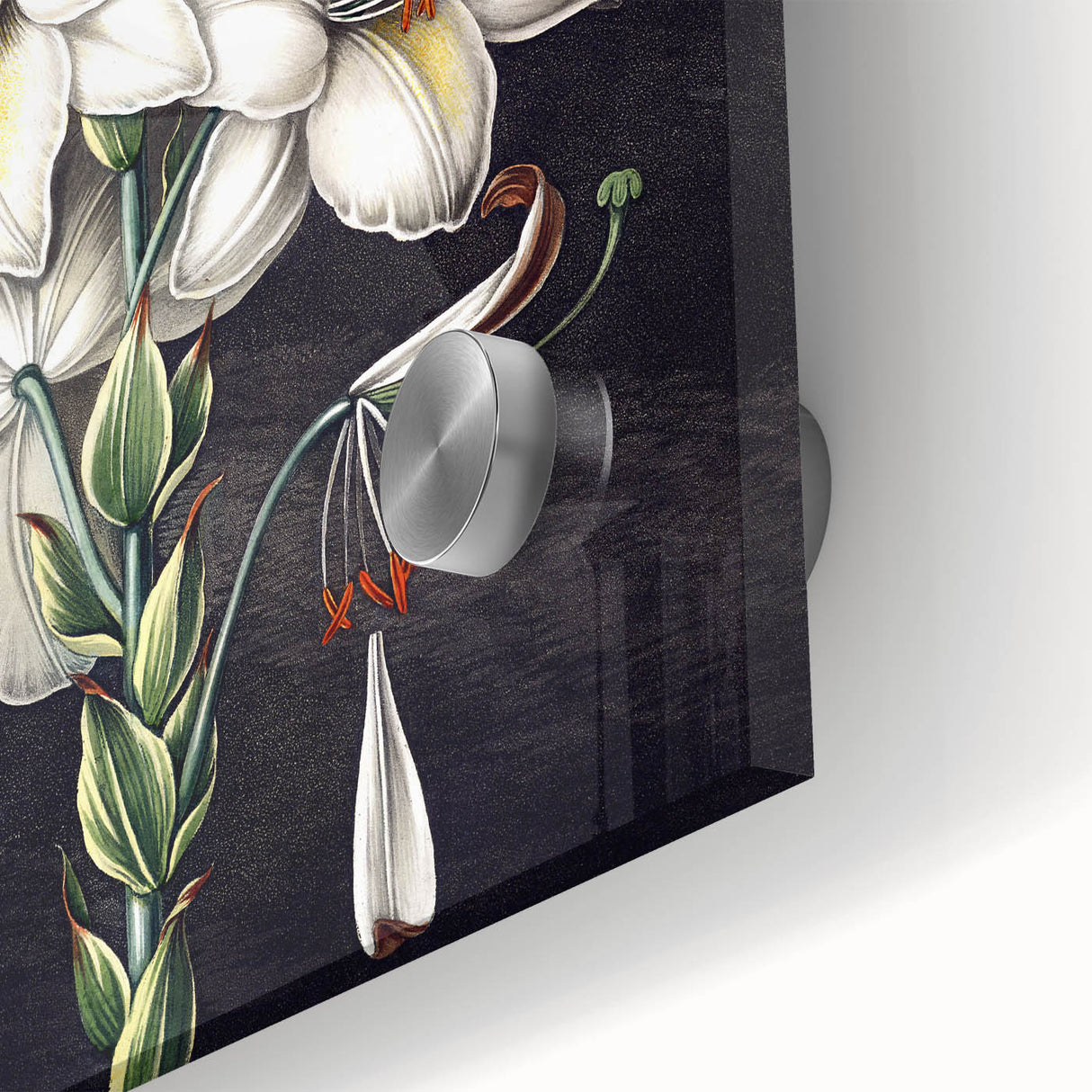 Close-up of a vibrant botanical orchid design wall art piece, showcasing intricate details and rich colors on acrylic glass, perfect for home decor enhancement.