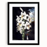 Black-framed botanical wall art showcasing a vibrant orchid design, elegantly matted for a sophisticated presentation, perfect for home decor enhancement.