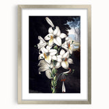 Framed botanical orchid wall art in a sleek silver frame with matting, showcasing vibrant floral designs. Perfect for adding elegance to any decor.
