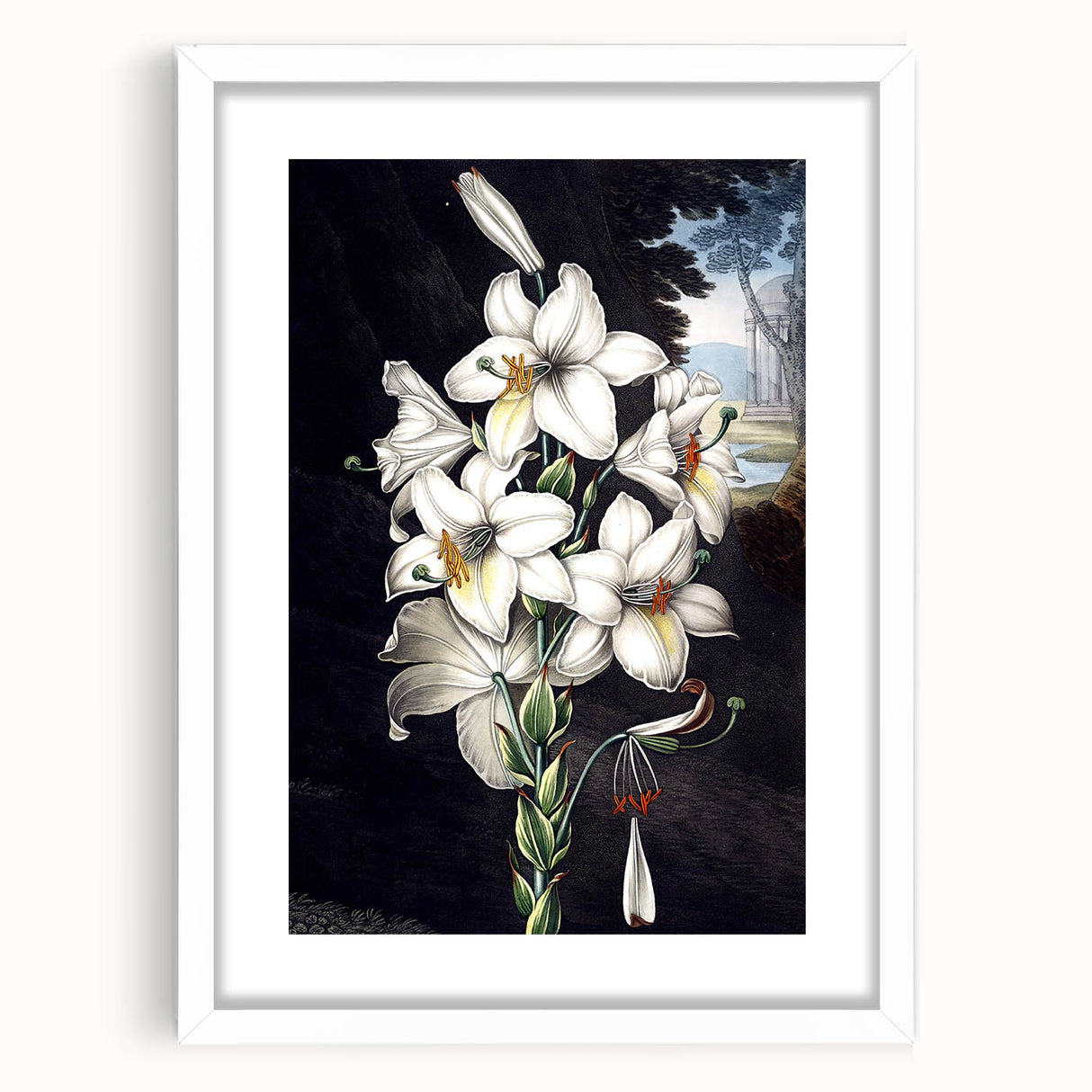 Botanical orchid wall art in a white frame with a mat, showcasing vibrant floral designs on a textured background, perfect for home decor enhancement.