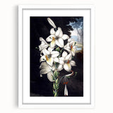 Botanical orchid wall art in a white frame with a mat, showcasing vibrant floral designs on a textured background, perfect for home decor enhancement.