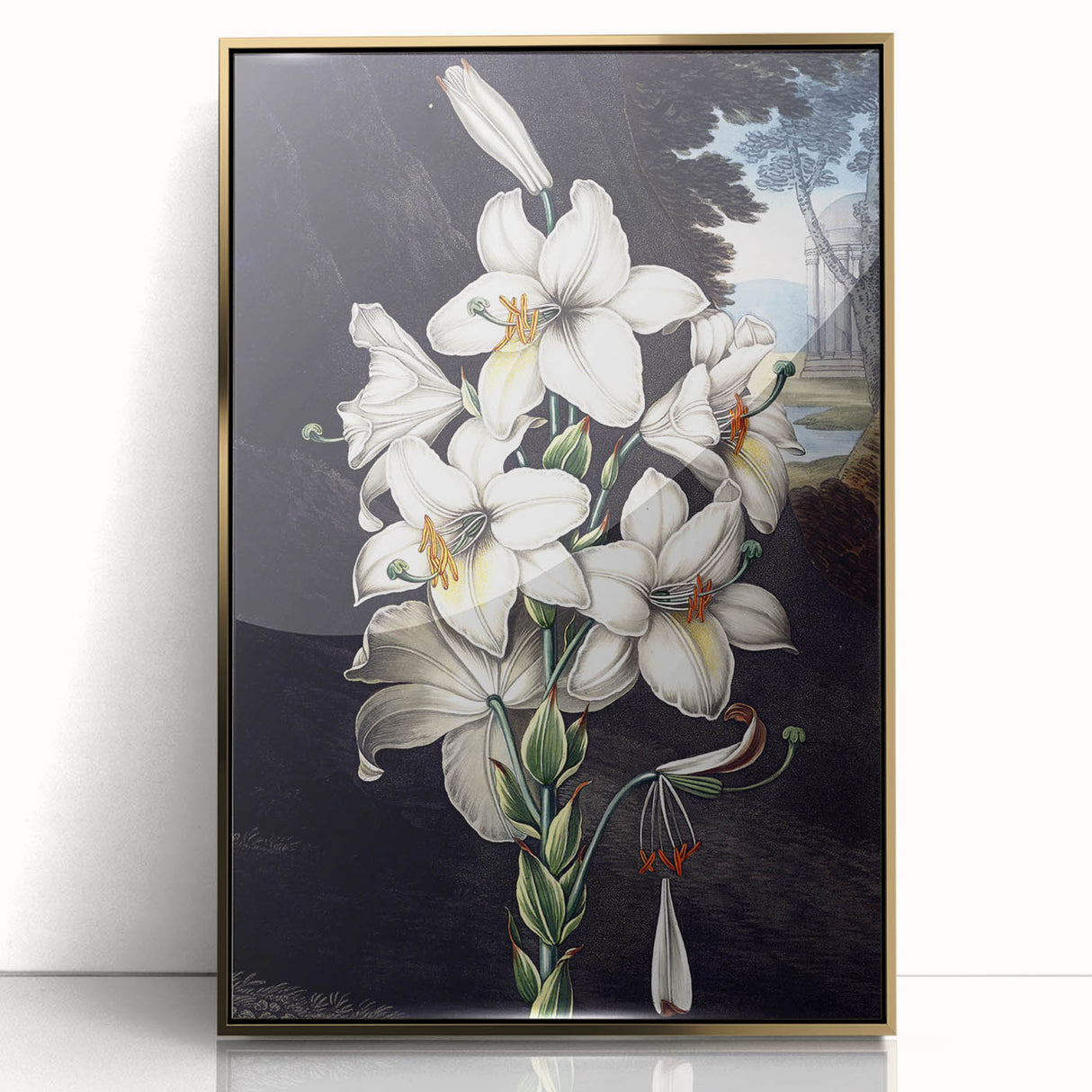 Framed wall art featuring a stunning botanical orchid design in gold accents, showcasing vibrant colors and intricate details, perfect for home decor enhancement.