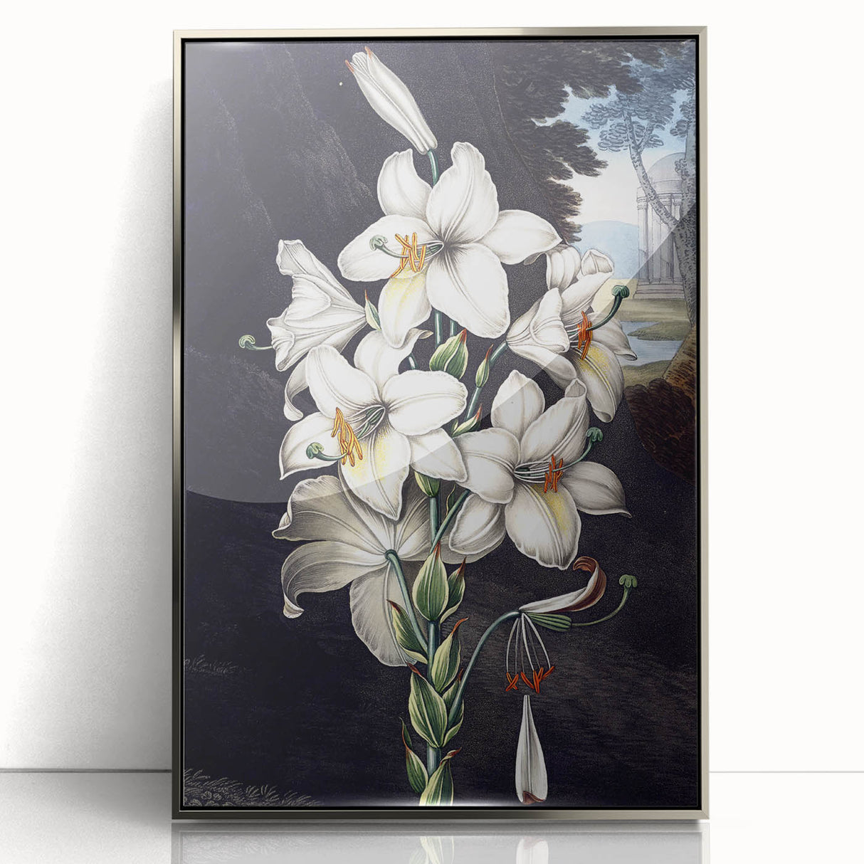 Framed botanical wall art featuring a vibrant orchid design with a silver-acrylic finish, ideal for adding elegance to home decor. Perfect for nature lovers.