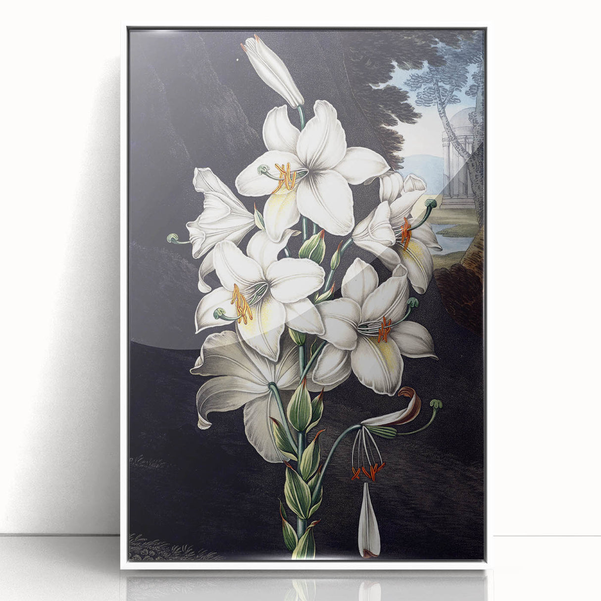 Framed botanical wall art featuring a vibrant orchid design on a white background, showcasing intricate details and bright colors, perfect for home decor.