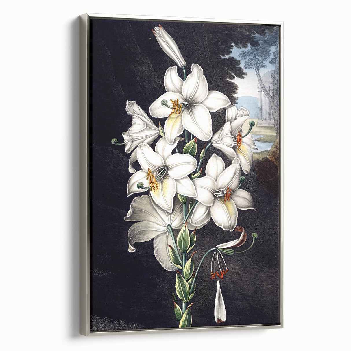 Framed canvas wall art featuring a vibrant botanical orchid design, elegantly displayed in a silver frame, showcasing intricate floral details and colors.